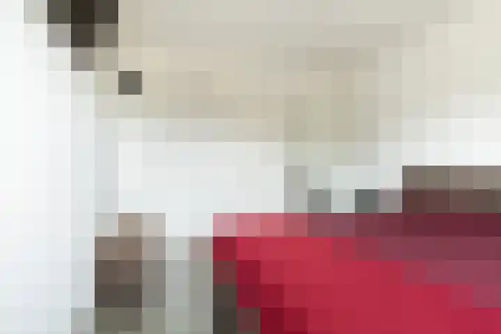 Bomschuit 8 Woerden thumbnail 28