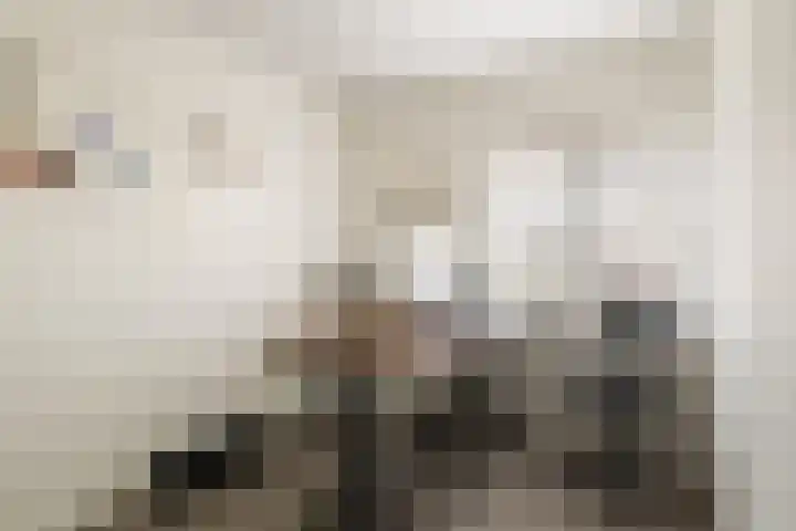 Bomschuit 8 Woerden thumbnail 32