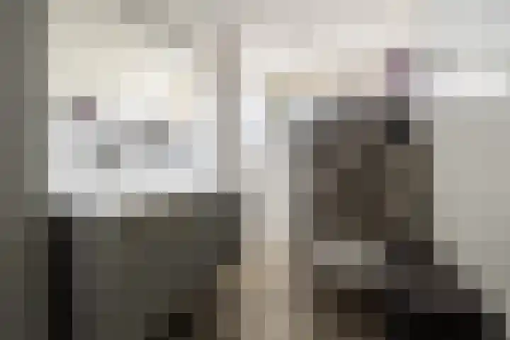 Bomschuit 8 Woerden thumbnail 34