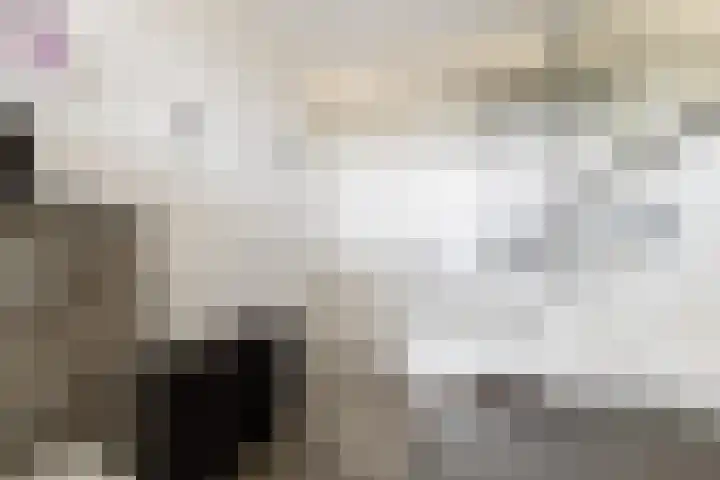 Bomschuit 8 Woerden thumbnail 36