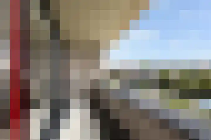 Bomschuit 8 Woerden thumbnail 39