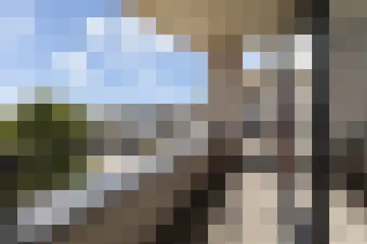 Bomschuit 8 Woerden thumbnail 40