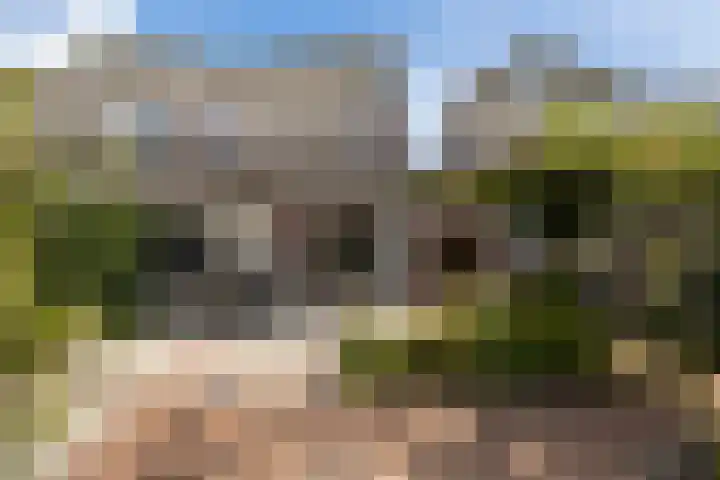 Bomschuit 8 Woerden thumbnail 44