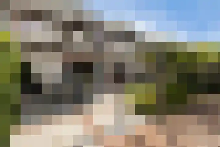 Bomschuit 8 Woerden thumbnail 45