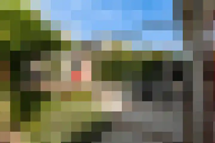 Bomschuit 8 Woerden thumbnail 46