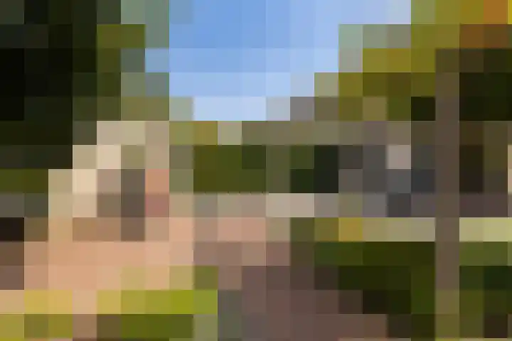Bomschuit 8 Woerden thumbnail 48