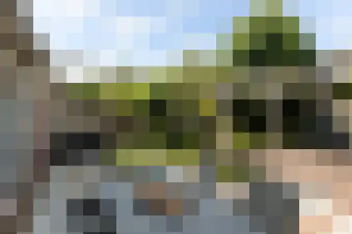 Bomschuit 8 Woerden thumbnail 49