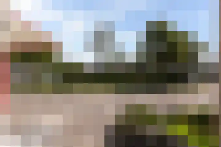 Bomschuit 8 Woerden thumbnail 51