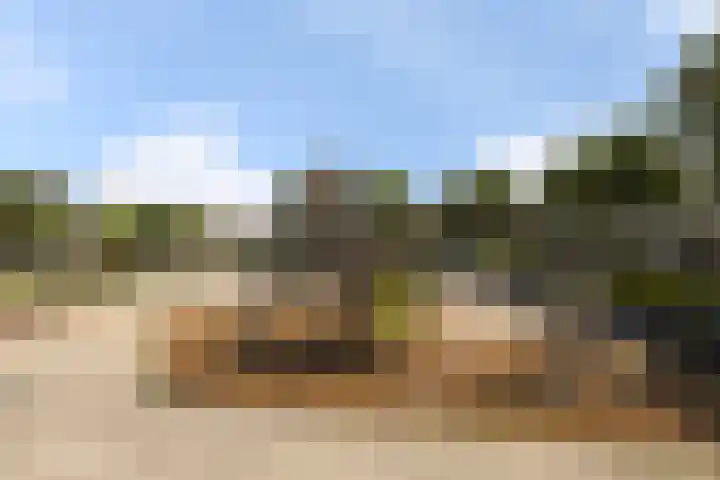Bomschuit 8 Woerden thumbnail 53