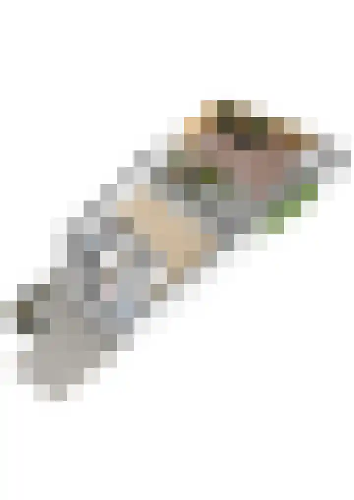 Bomschuit 8 Woerden thumbnail 61