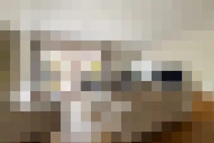 Bomschuit 8 Woerden thumbnail 8