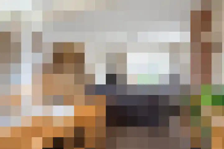 Bomsterschans 2 Niezijl thumbnail 12