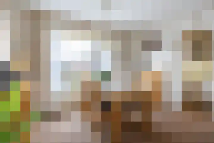 Bomsterschans 2 Niezijl thumbnail 15