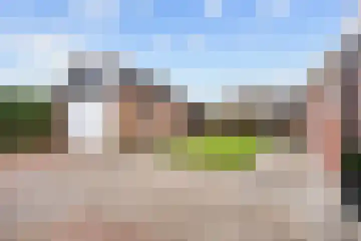 Bomsterschans 2 Niezijl thumbnail 29