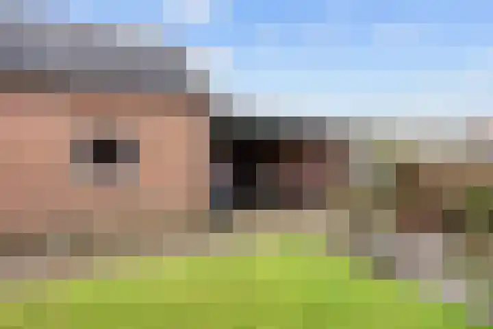 Bomsterschans 2 Niezijl thumbnail 30