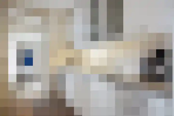 Bomsterschans 2 Niezijl thumbnail 4
