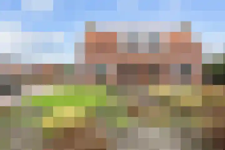 Bomsterschans 2 Niezijl thumbnail 5