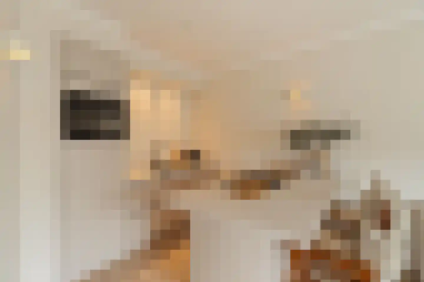 Bomstraat 24 Noordwijk thumbnail 10
