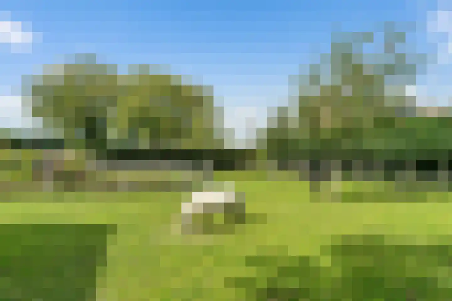 Bonaertsweg 6 Bunde thumbnail 20