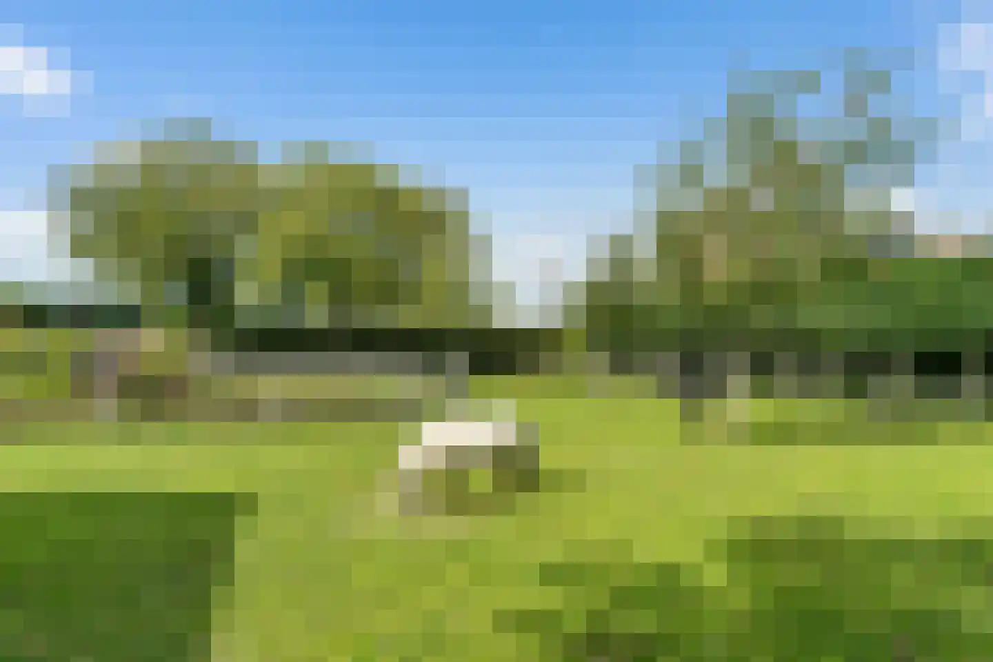 Bonaertsweg 6 Bunde thumbnail 42