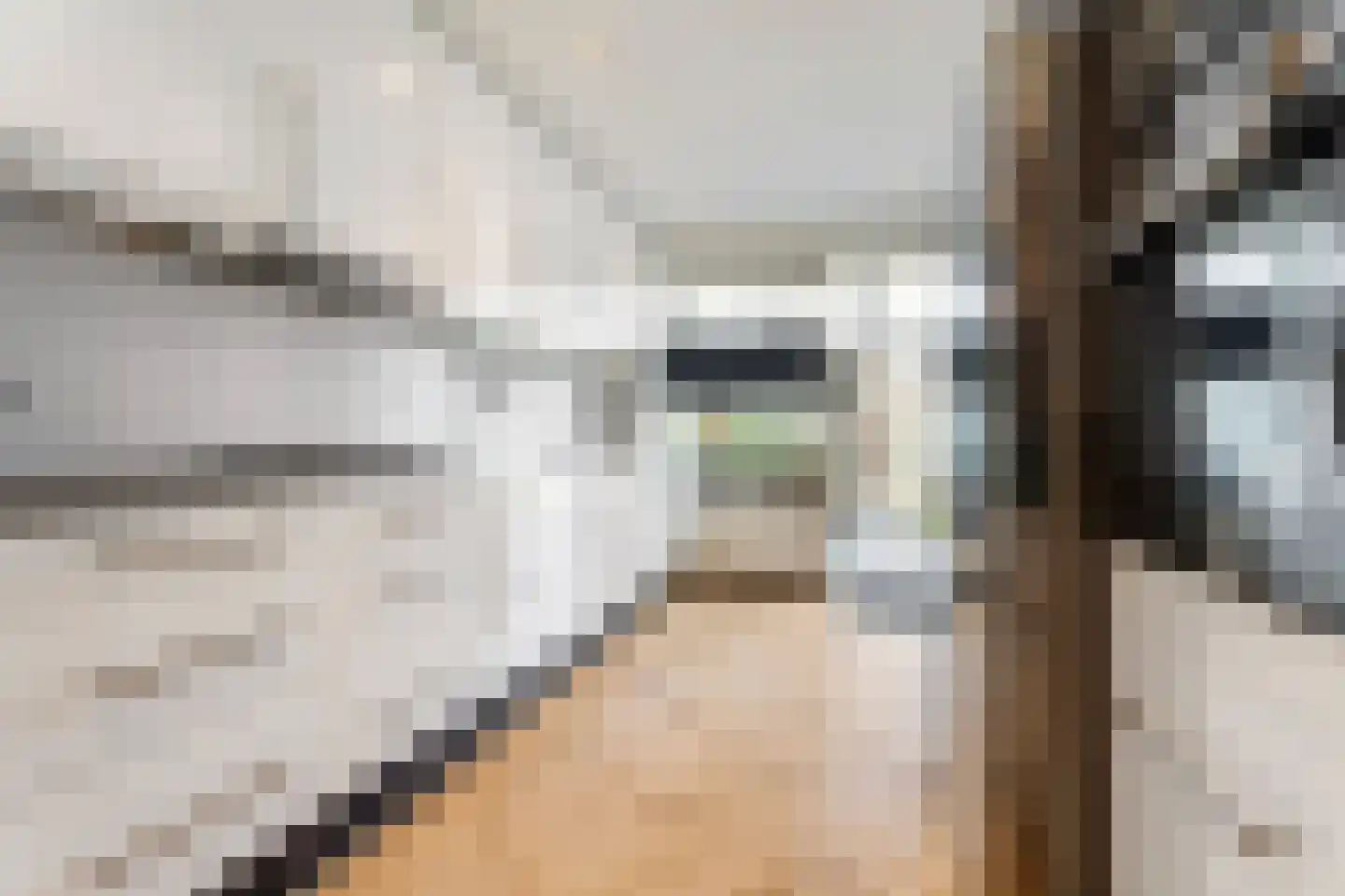 Bonairedreef 32 Utrecht thumbnail 17