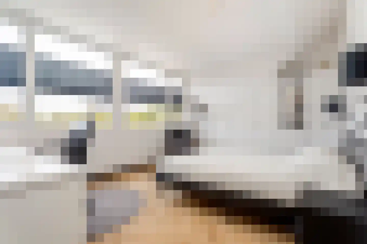 Bonairedreef 32 Utrecht thumbnail 34