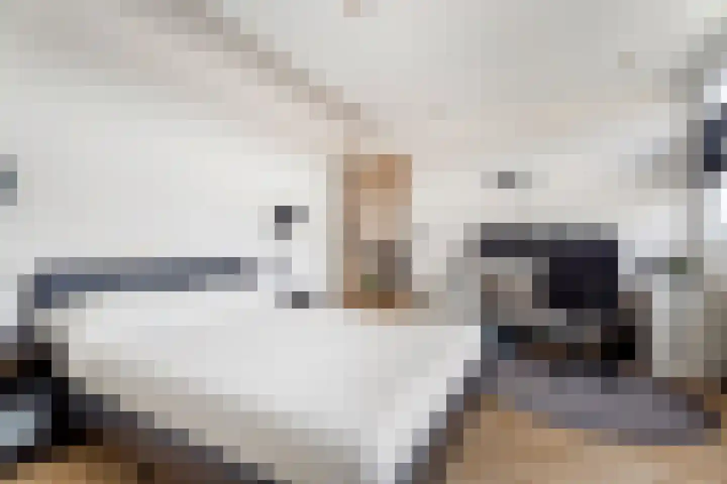 Bonairedreef 32 Utrecht thumbnail 36