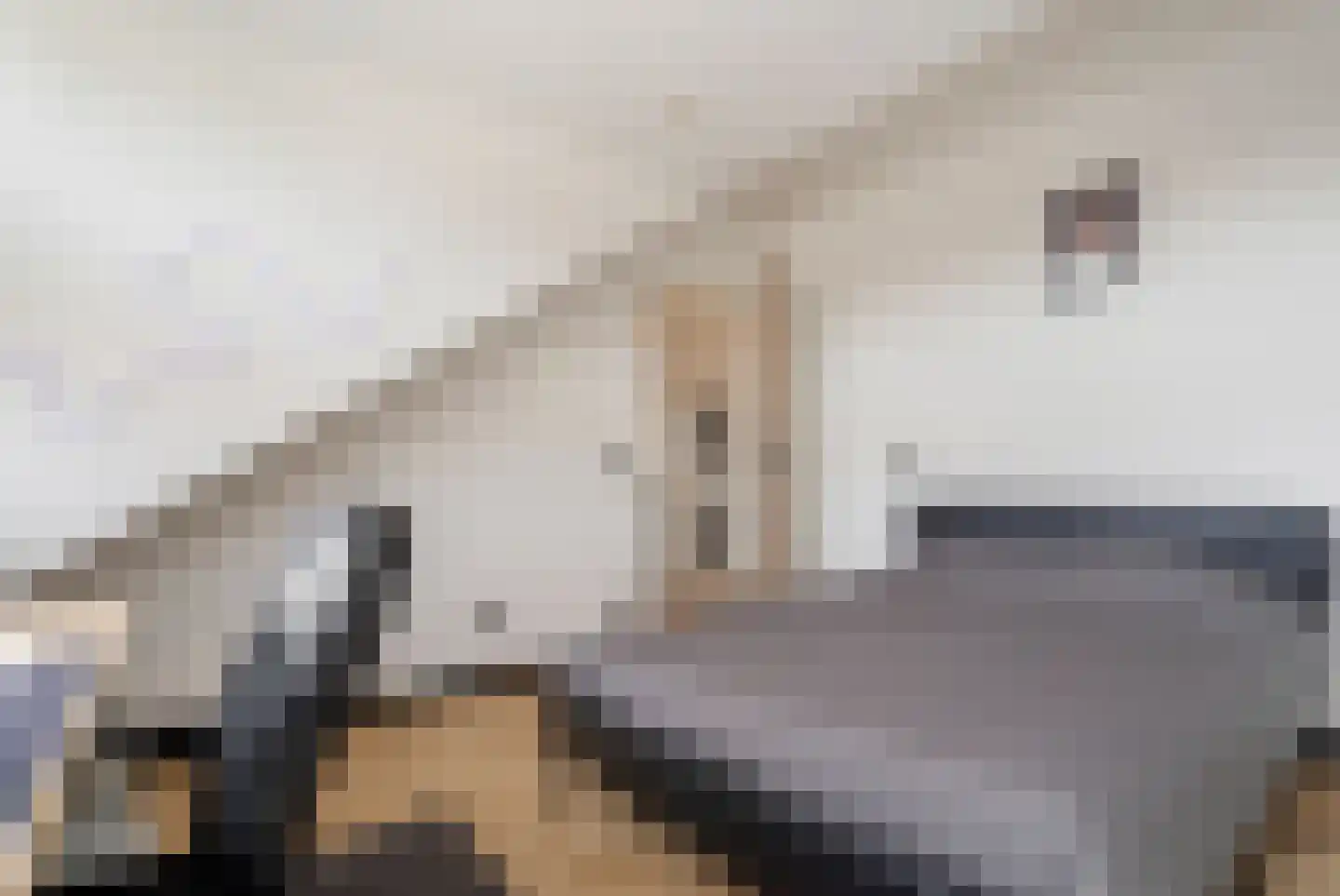 Bonairedreef 32 Utrecht thumbnail 38