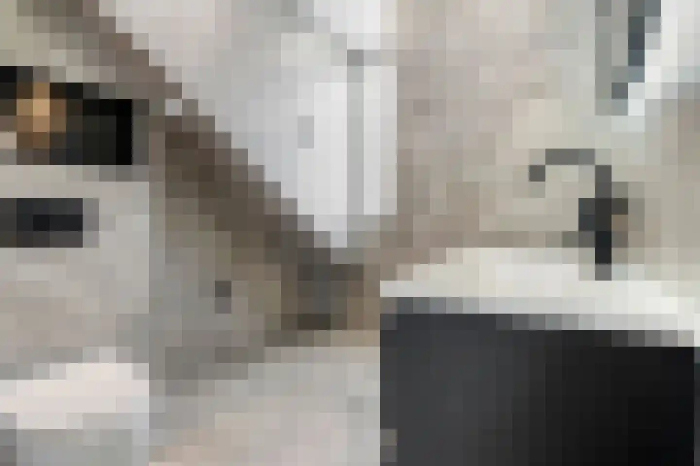 Bonairedreef 32 Utrecht thumbnail 39