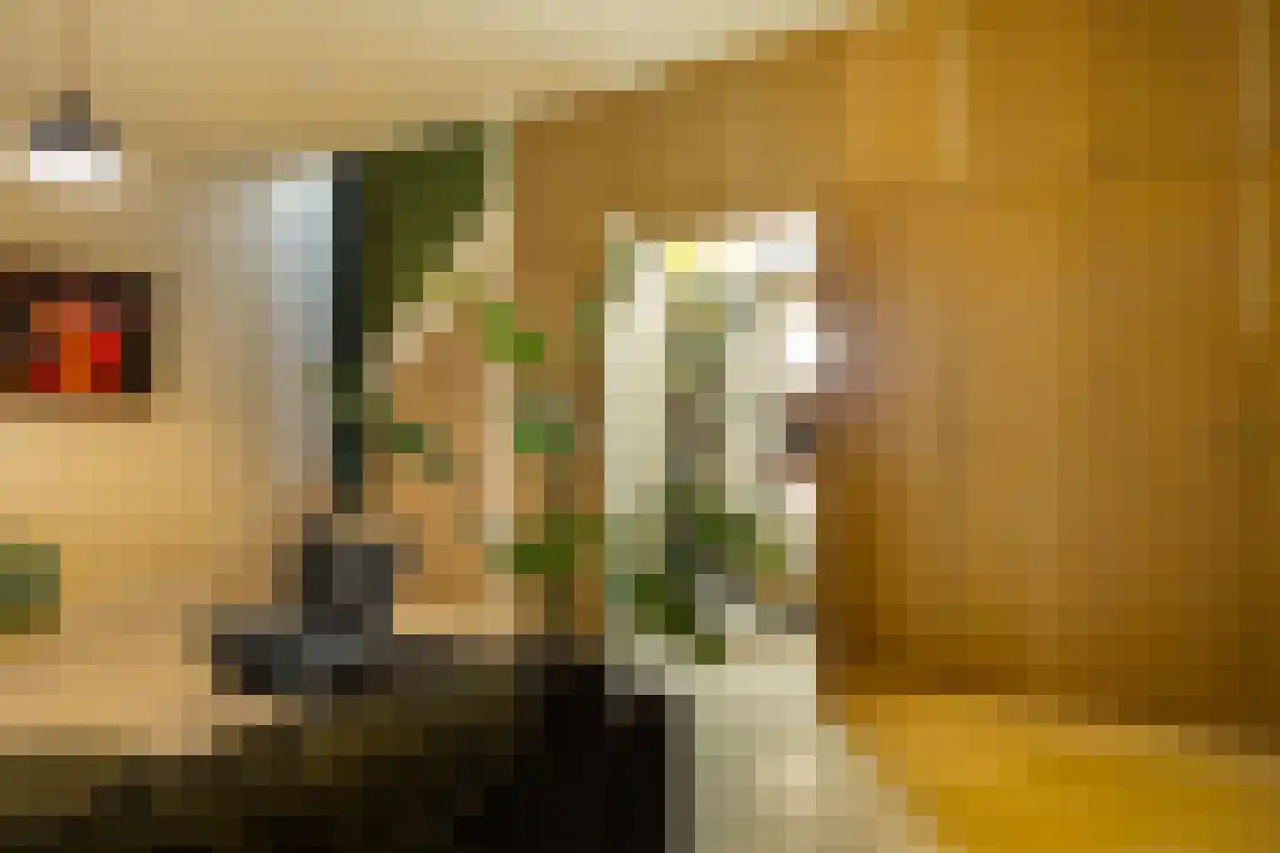 Bonairelaan 86 Amersfoort thumbnail 43