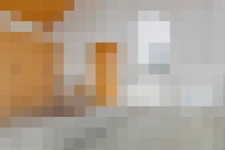 Bonairepier 1 Almere thumbnail 23