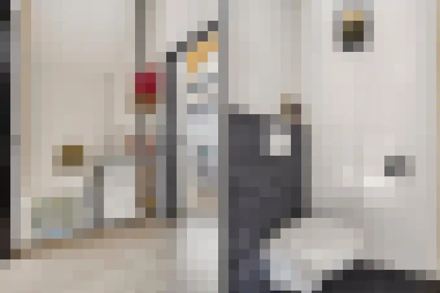 Bonairepier 24 Almere thumbnail 27