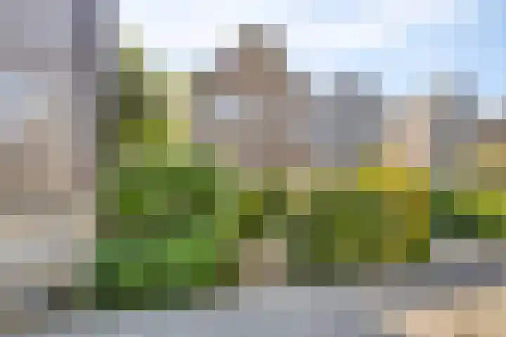 Bonairepier 3 Almere thumbnail 4