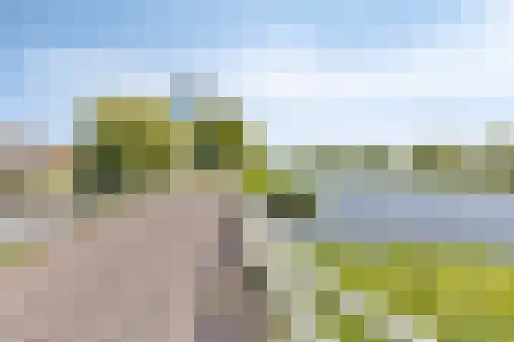 Bonairepier 3 Almere thumbnail 49