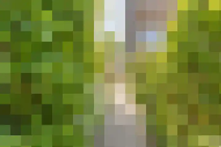 Bonairepier 3 Almere thumbnail 5