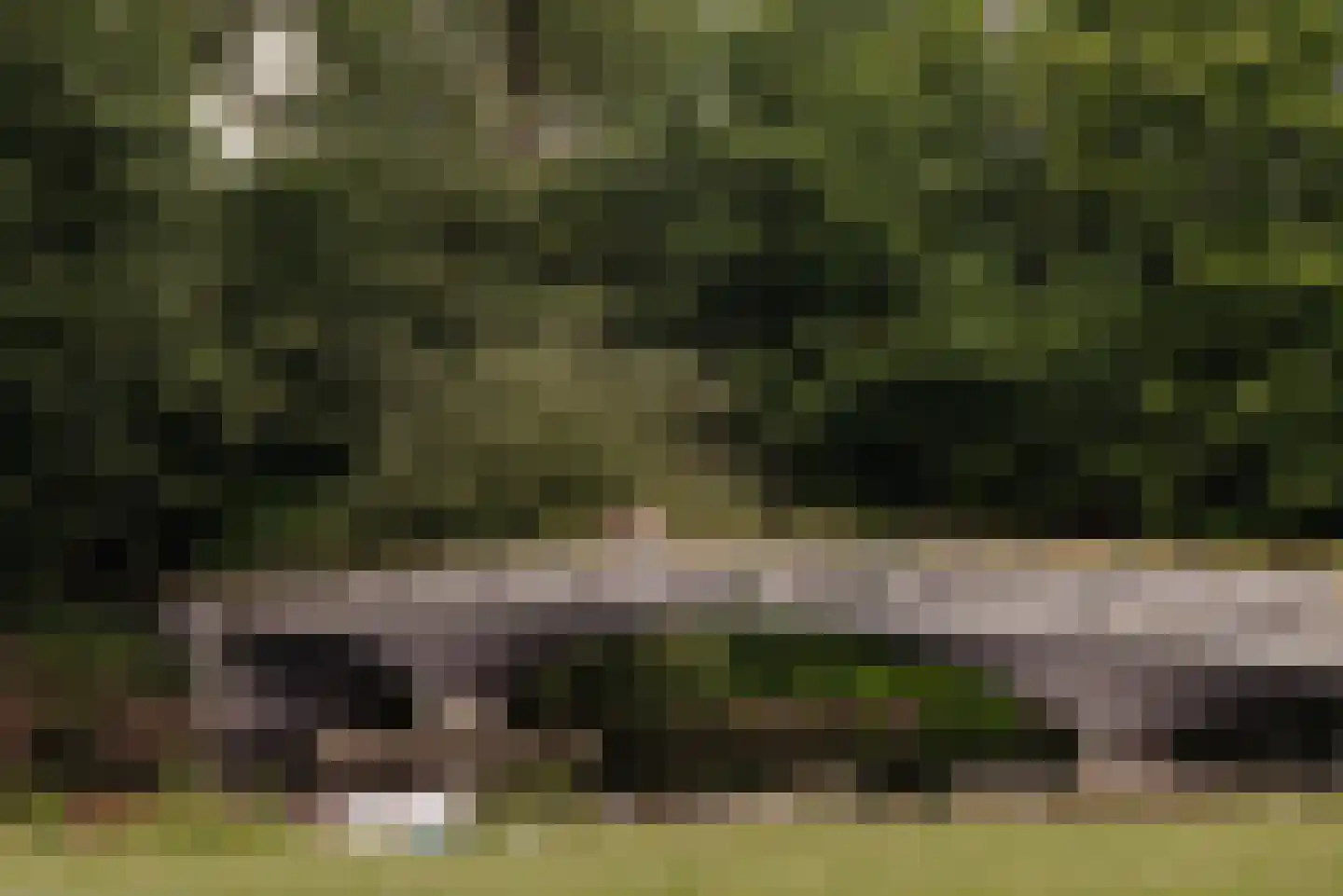 Bonaireplein 11 3 Amsterdam thumbnail 29
