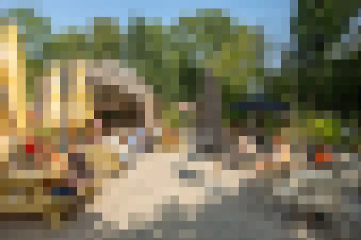 Bonaireplein 11 3 Amsterdam thumbnail 32