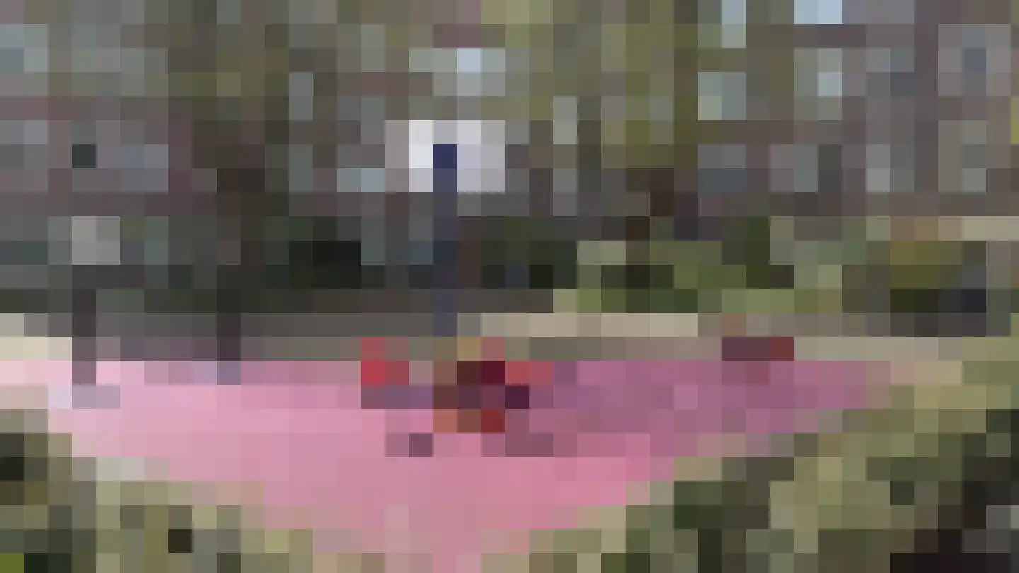 Bonaireplein 14 1 Amsterdam thumbnail 24