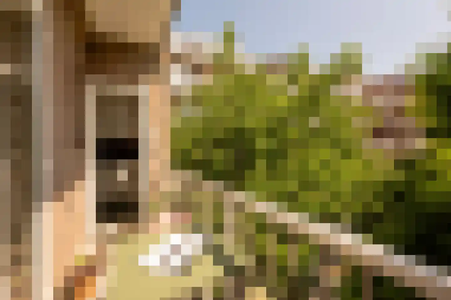 Bonaireplein 2 1 Amsterdam thumbnail 15