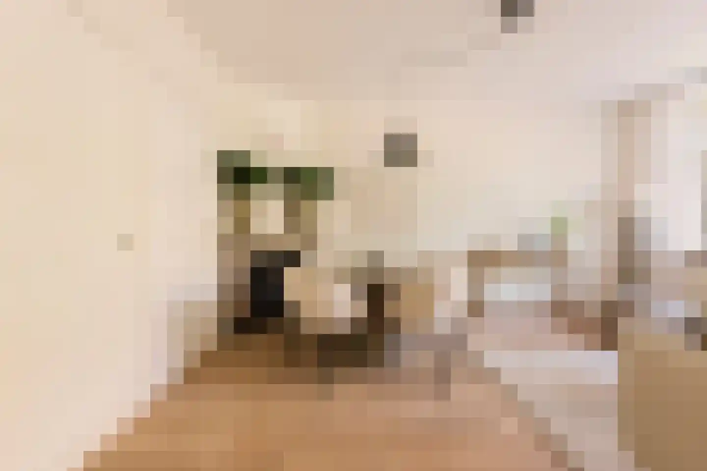 Bonaireplein 2 1 Amsterdam thumbnail 6