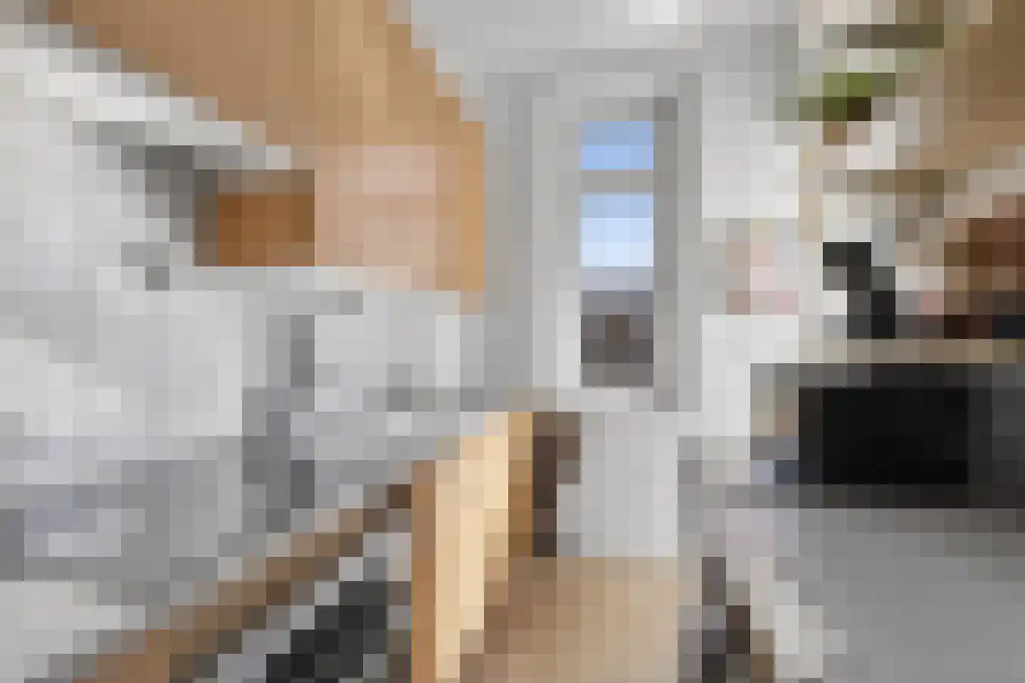 Bonaireplein 2 3 Amsterdam thumbnail 10