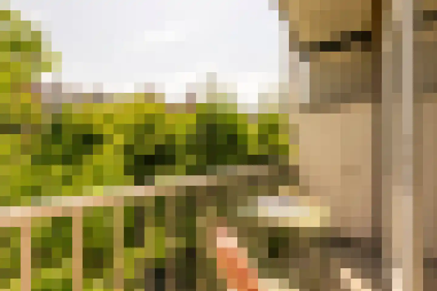 Bonaireplein 2 3 Amsterdam thumbnail 14