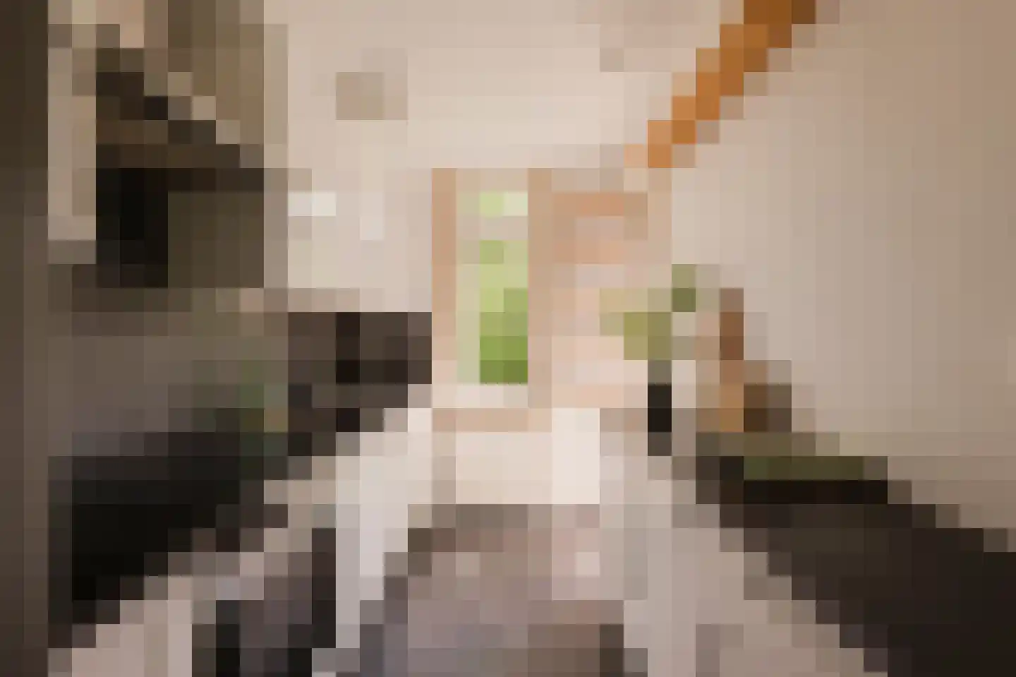 Bonaireplein 2 3 Amsterdam thumbnail 18