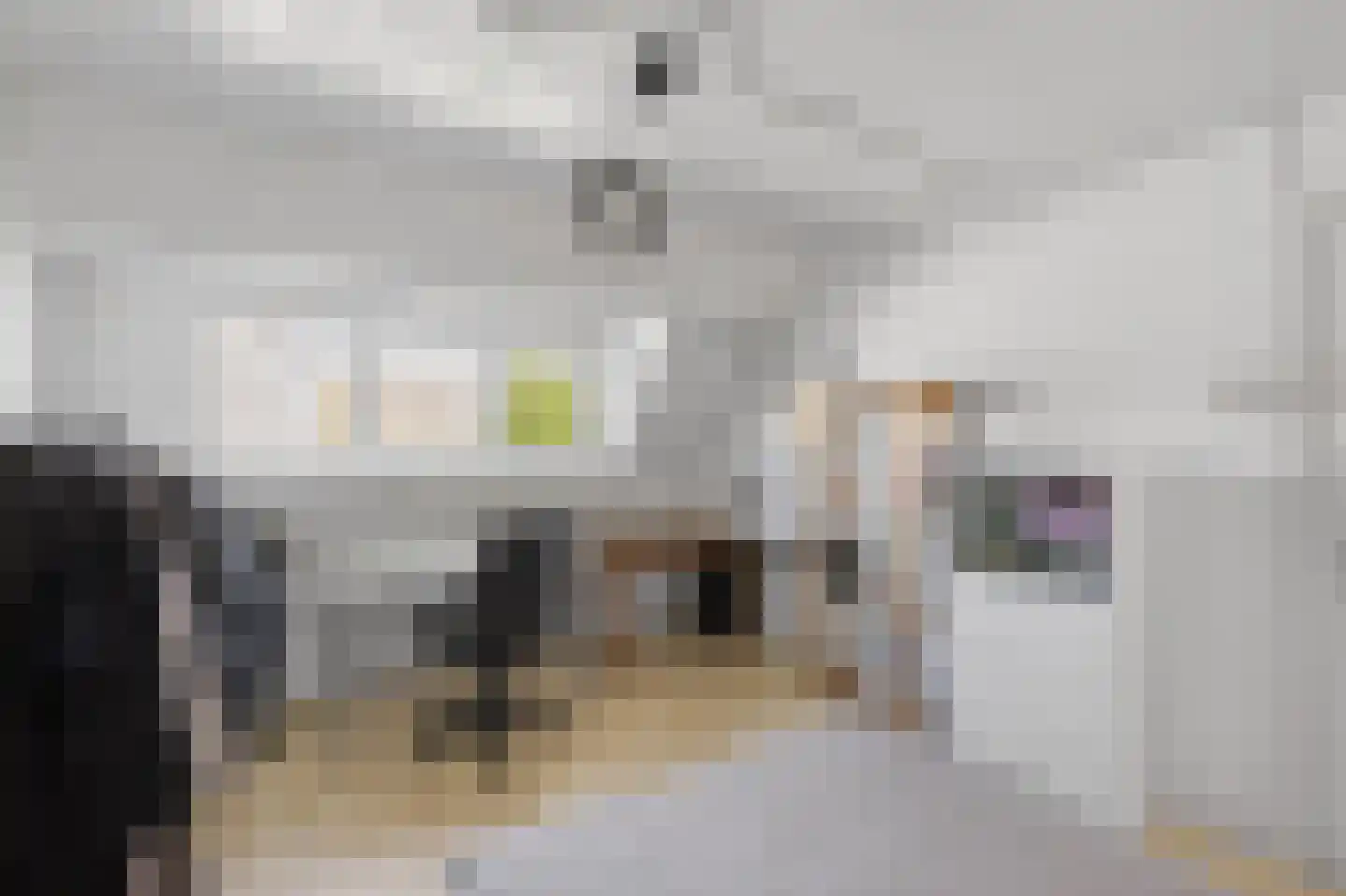 Bonaireplein 2 3 Amsterdam thumbnail 20