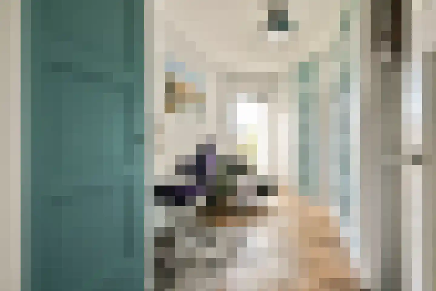 Bonaireplein 8 2 Amsterdam thumbnail 16