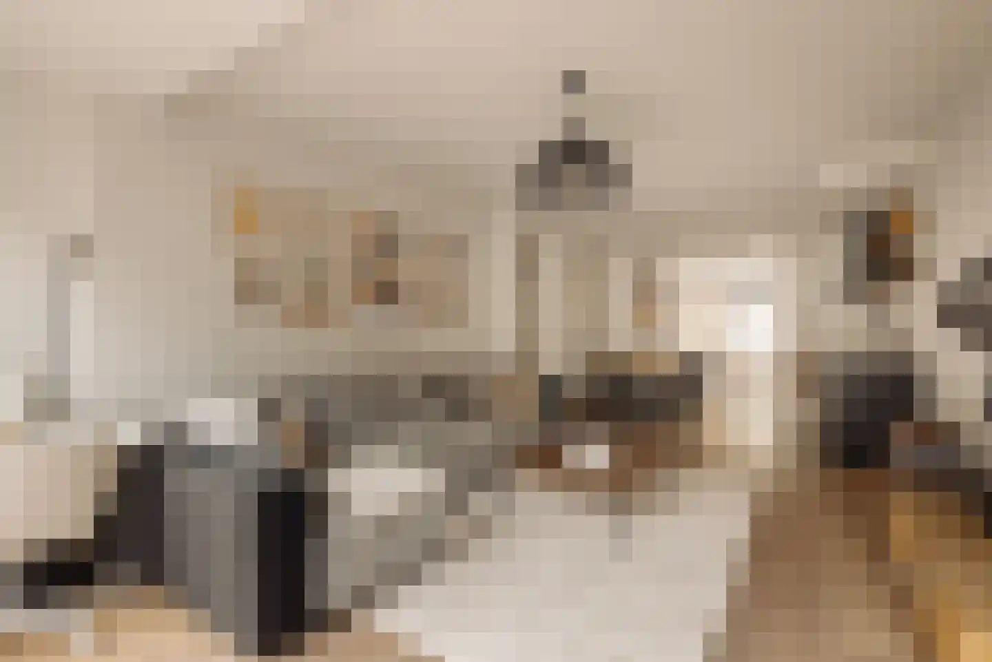 Bonairestraat 10 H Amsterdam thumbnail 16