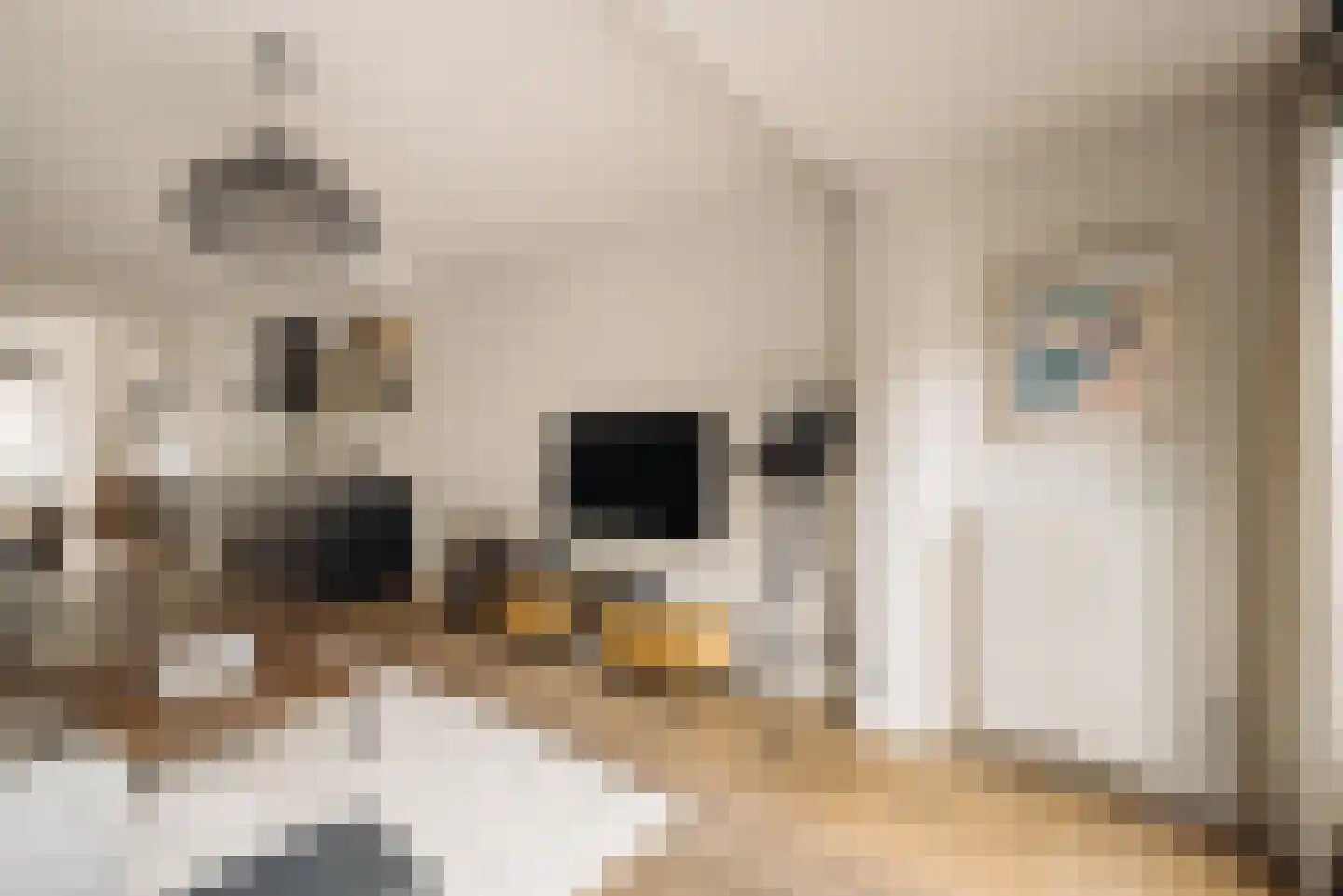 Bonairestraat 10 H Amsterdam thumbnail 17