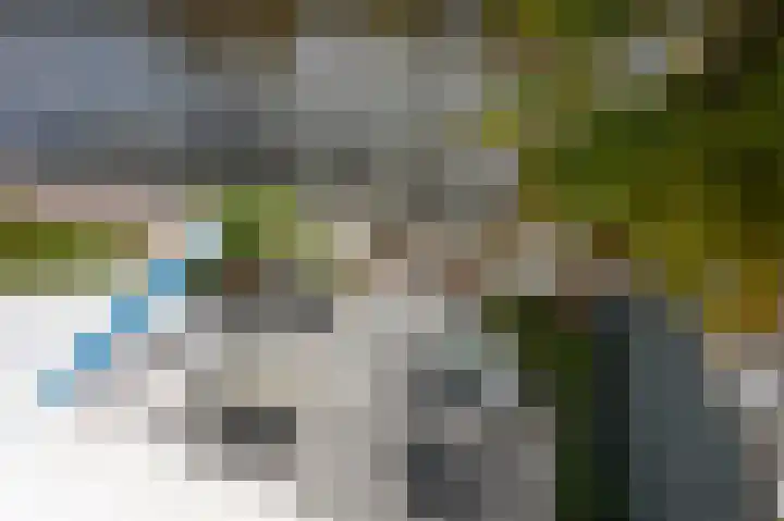 Bonairestraat 12 Alphen aan den Rijn thumbnail 37