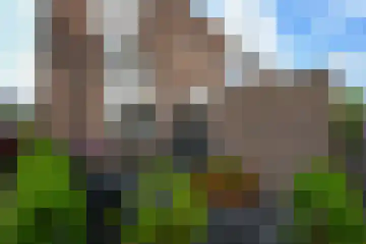 Bonairestraat 12 Alphen aan den Rijn thumbnail 5