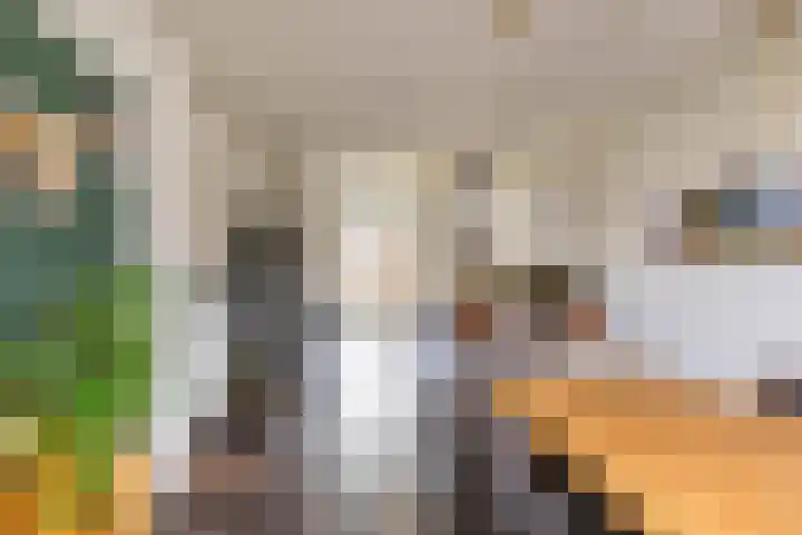 Bonairestraat 14 Groningen thumbnail 16